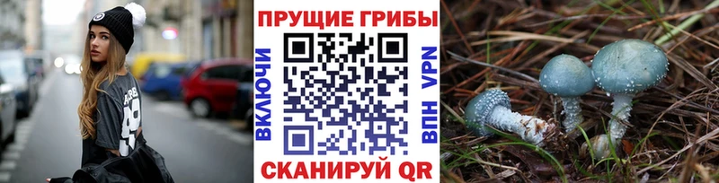 Псилоцибиновые грибы мухоморы  Старая Русса 