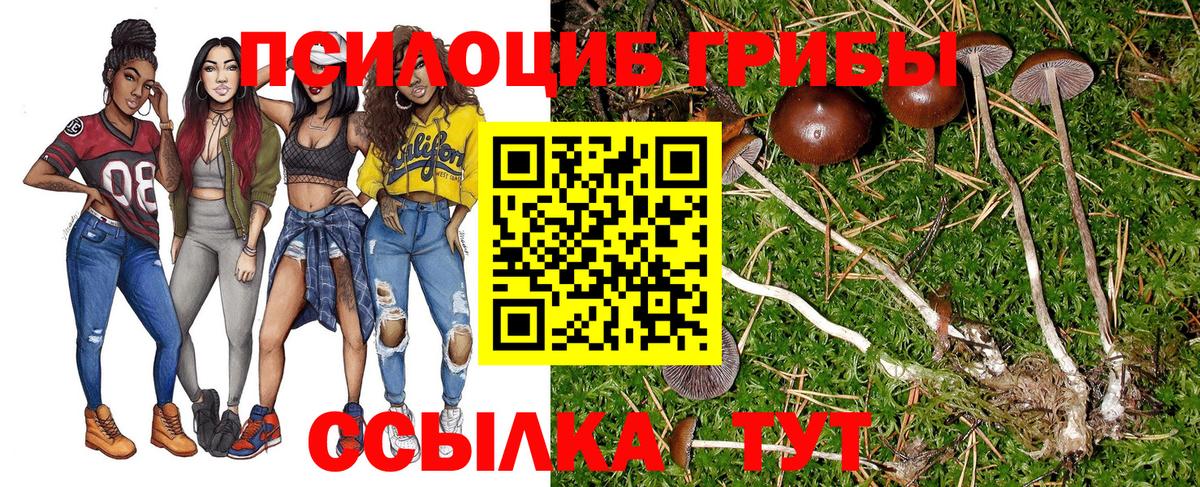 Псилоцибиновые грибы прущие грибы Старая Русса