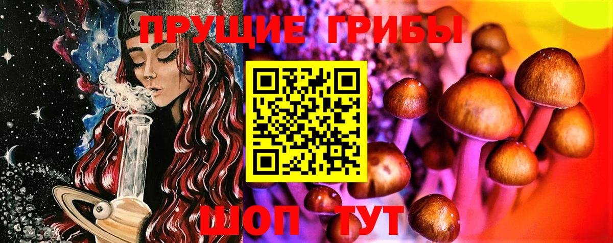 Псилоцибиновые грибы прущие грибы  Вход с VPN  Старая Русса 
